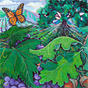 vineyard_copyrighted nature illustration_JMTurley