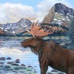 ©Joyce Mihran Turley illustration of moose at Glacier National Park